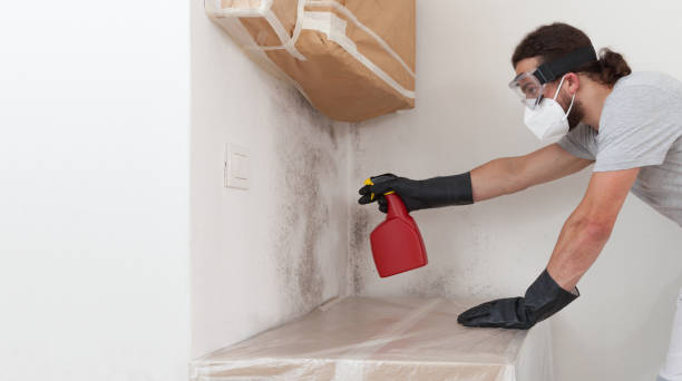 Professional Mold Remediation technician working in Grass Lake, MI