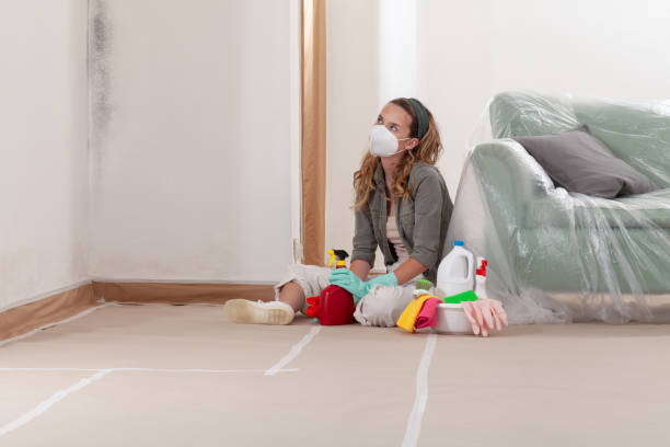 Reliable Mold Remediation contractor in Grass Lake, MI by WQB Mold Removal